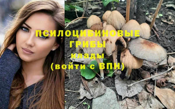 спайс Беломорск